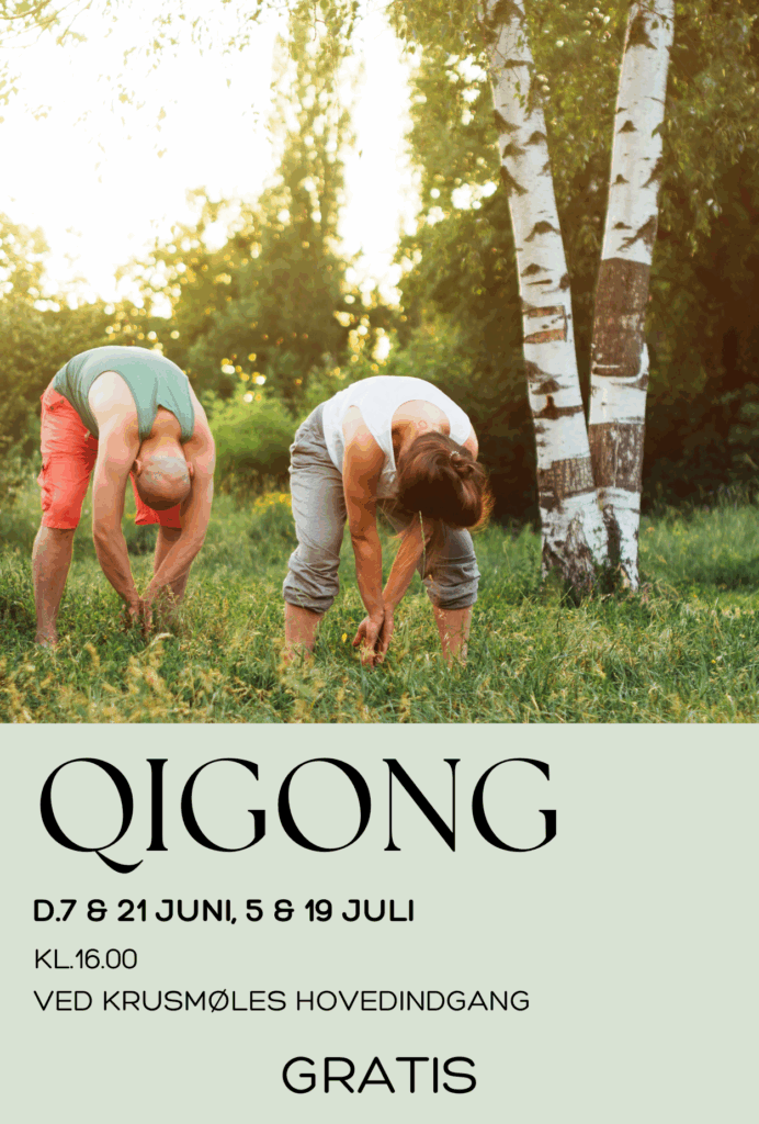 Gratis Qigong Sønderjylland – deltagere bevæger sig i naturen til sommeraktivitet med fokus på ro og balance